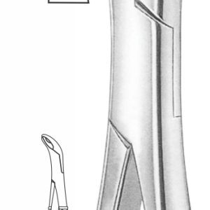 EXTRACTION FOCEPS “AMERICAN PATTERN